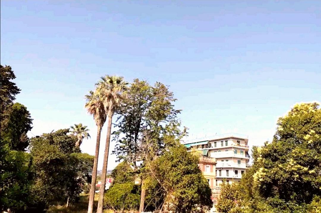 Villa Rosa Garden House Corfu  Kültér fotó