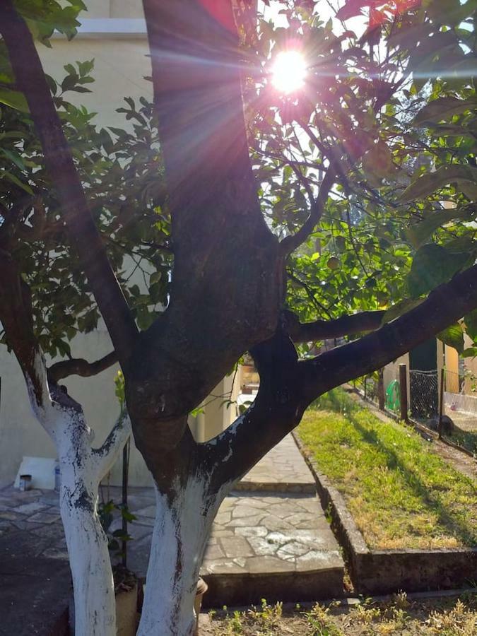 Villa Rosa Garden House Corfu  Kültér fotó