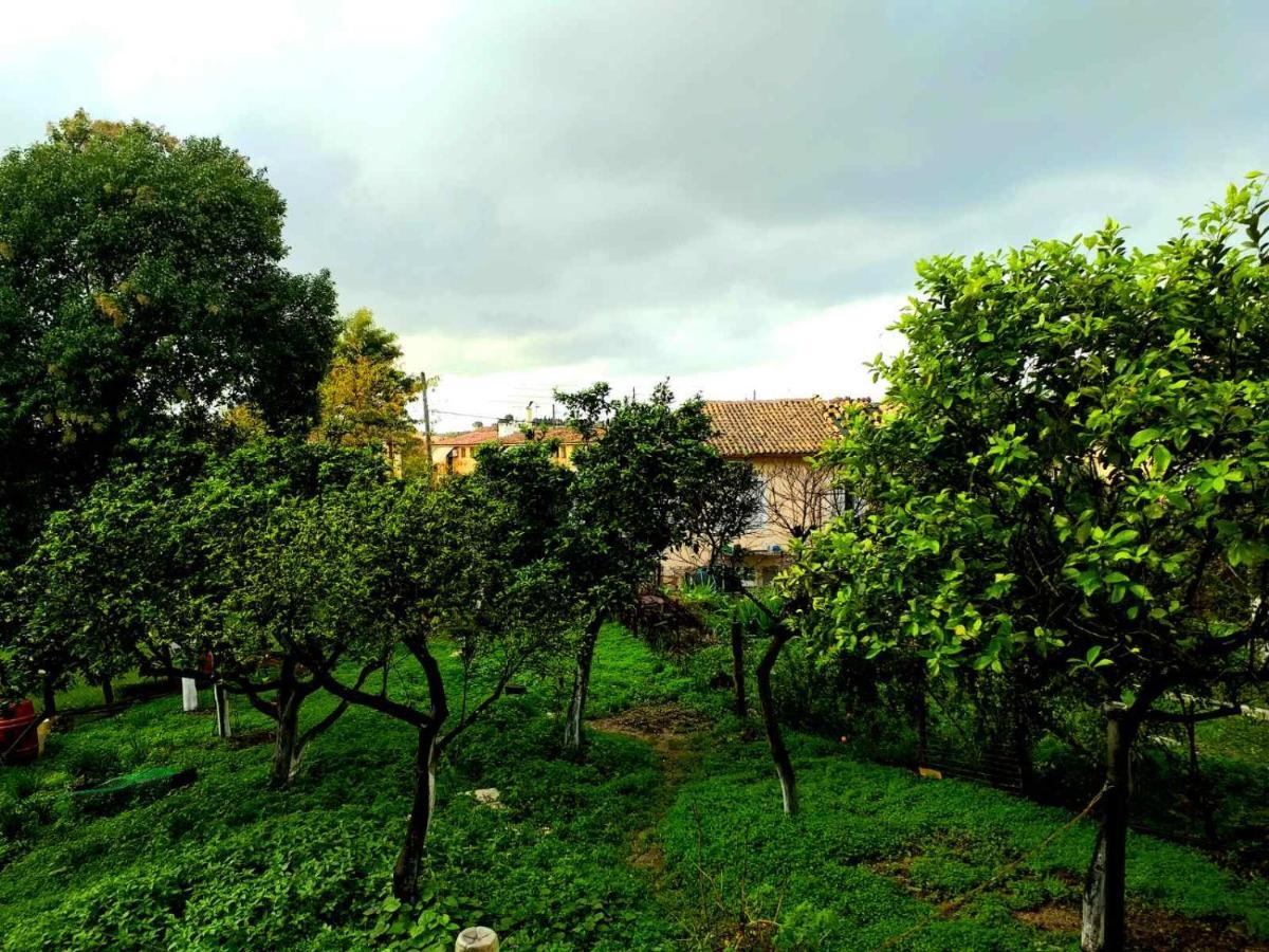 Villa Rosa Garden House Corfu  Kültér fotó